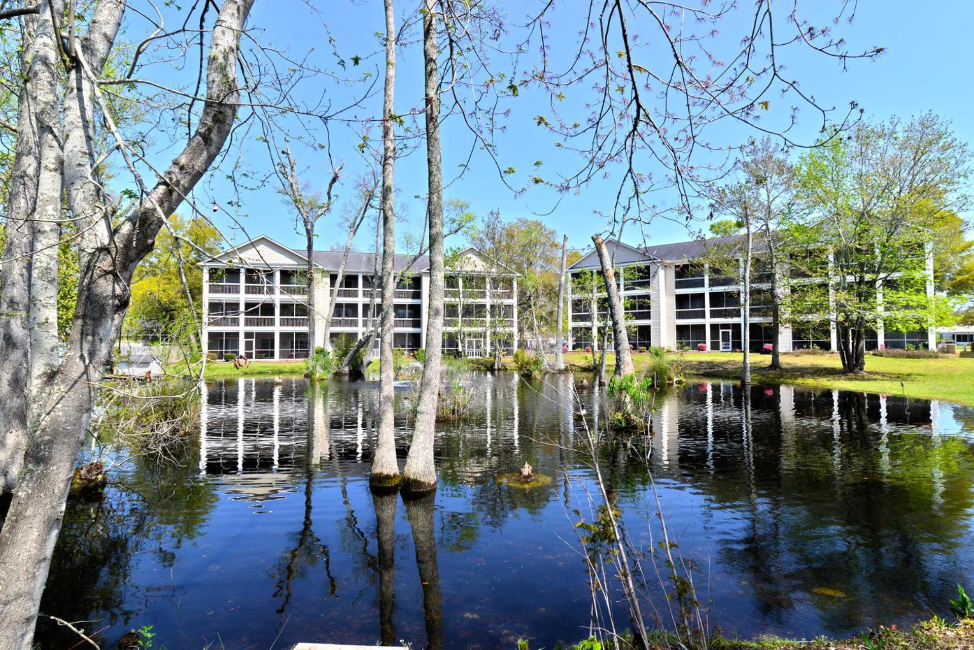 All New Luxury Beach Retreat 1 Mile To Beach W Pool Myrtle Beach Buitenkant foto